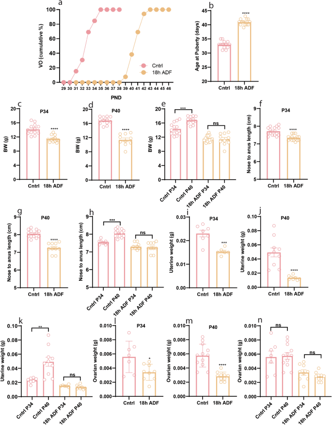 Alternate-day fasting delays pubertal development in normal-weight mice but prevents high-fat diet-induced obesity and precocious puberty