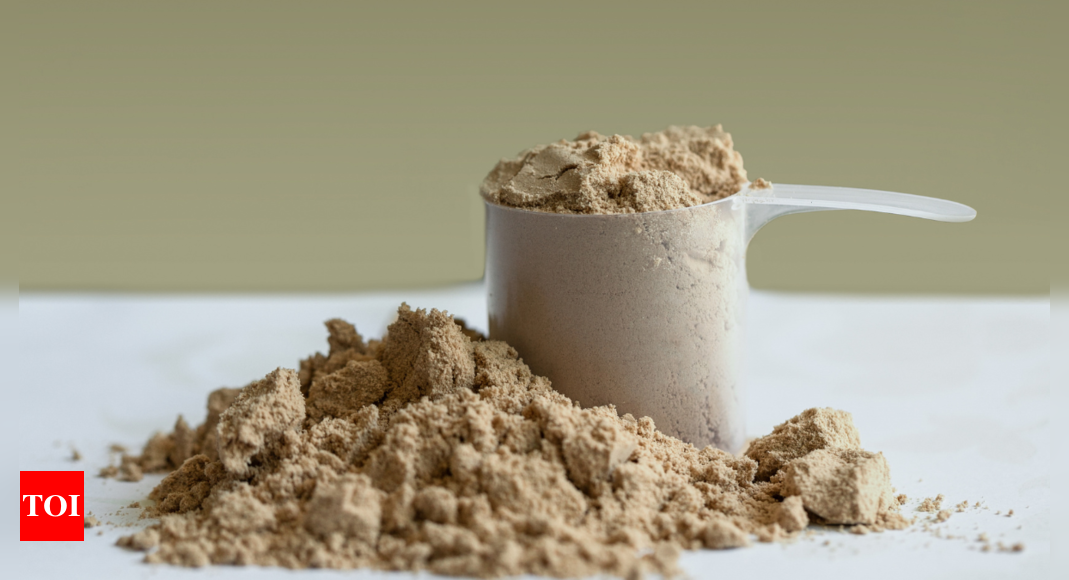 Best Whey Protein Powders To Elevate Your Nutrition