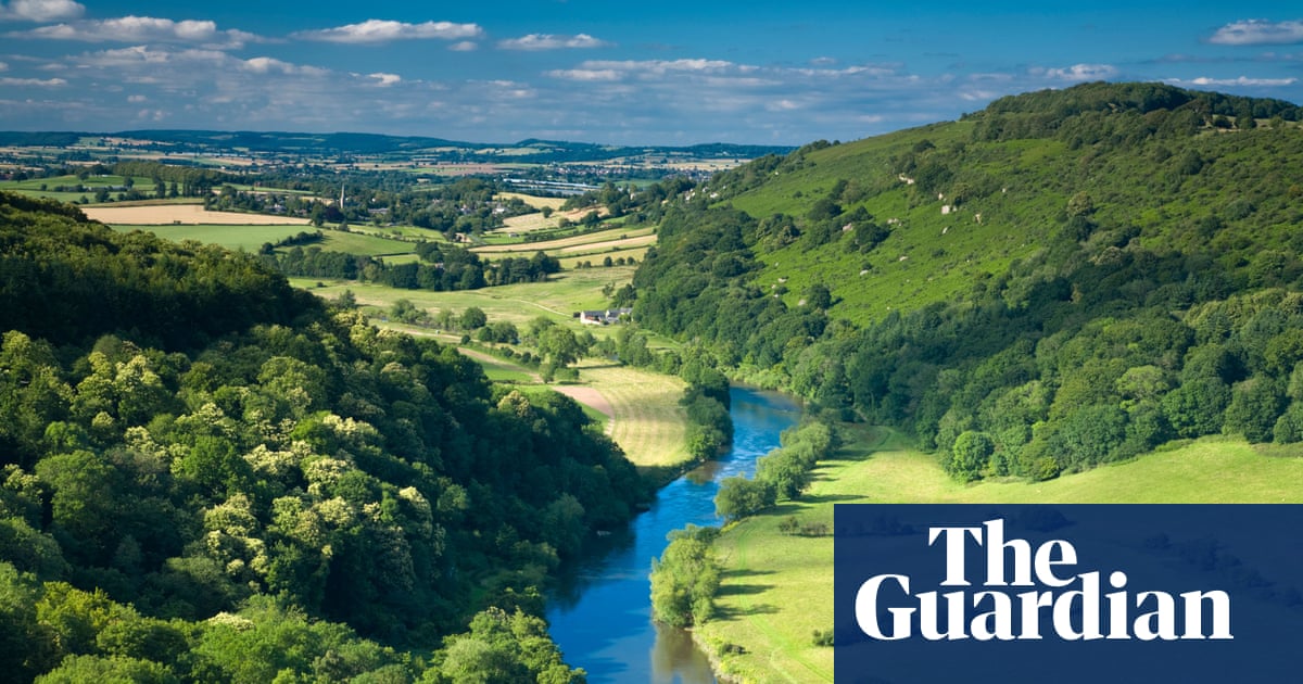 England: A Natural History by John Lewis-Stempel review