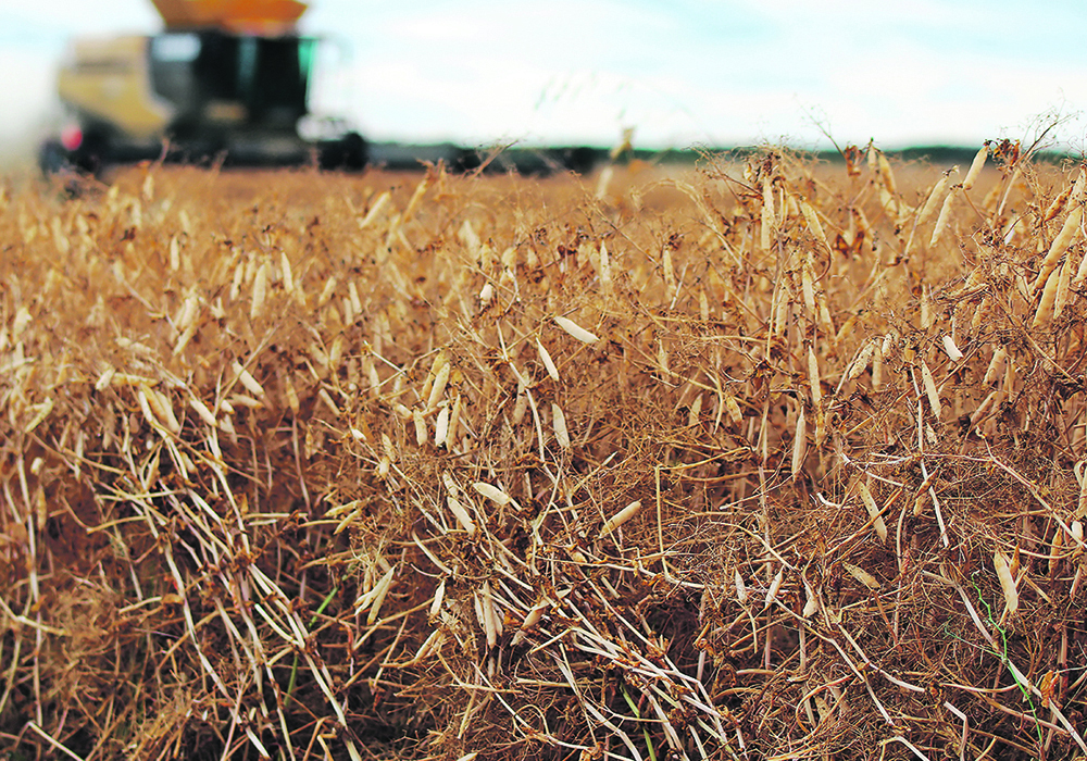 Plant nutrition begins one km underground