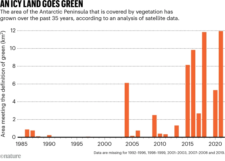 AN ICY LAND GOES GREEN. Graphic shows the area of the Antarctic Peninsula covered by vegetation has grown over the past 35 years.