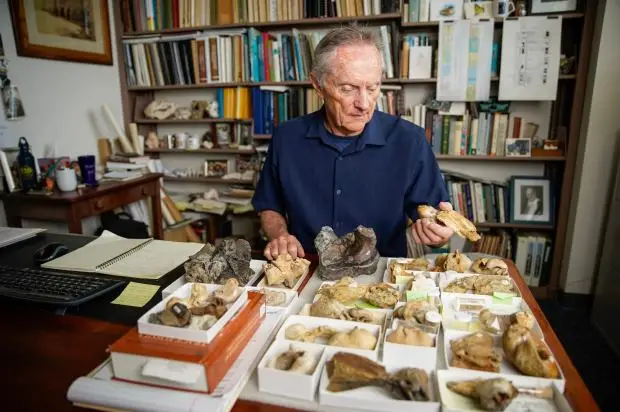 Tom Deméré,, Curator of Paleontology at the San Diego Natural History Museum, inspects fossils at his desk at the Balboa Park museum, which turns 150 this month. (Alejandro Tamayo / The San Diego Union-Tribune)