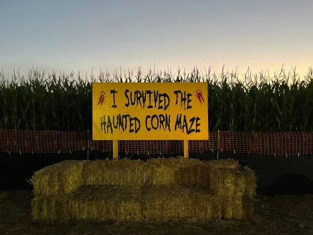 A scene from the Carlsbad Strawberry Company's haunted corn maze. (Abby Hamblin / The San Diego Union-Tribune)