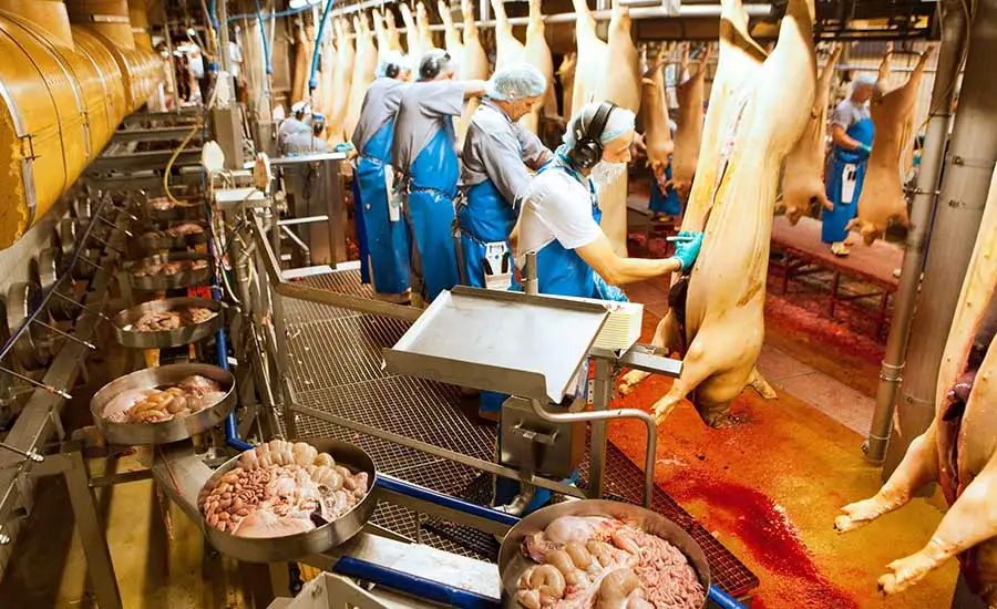 At Danish Slaughterhouses, Methods Like Gyro Cooling are Employed to Rapidly Reduce the Temperature of Byproducts