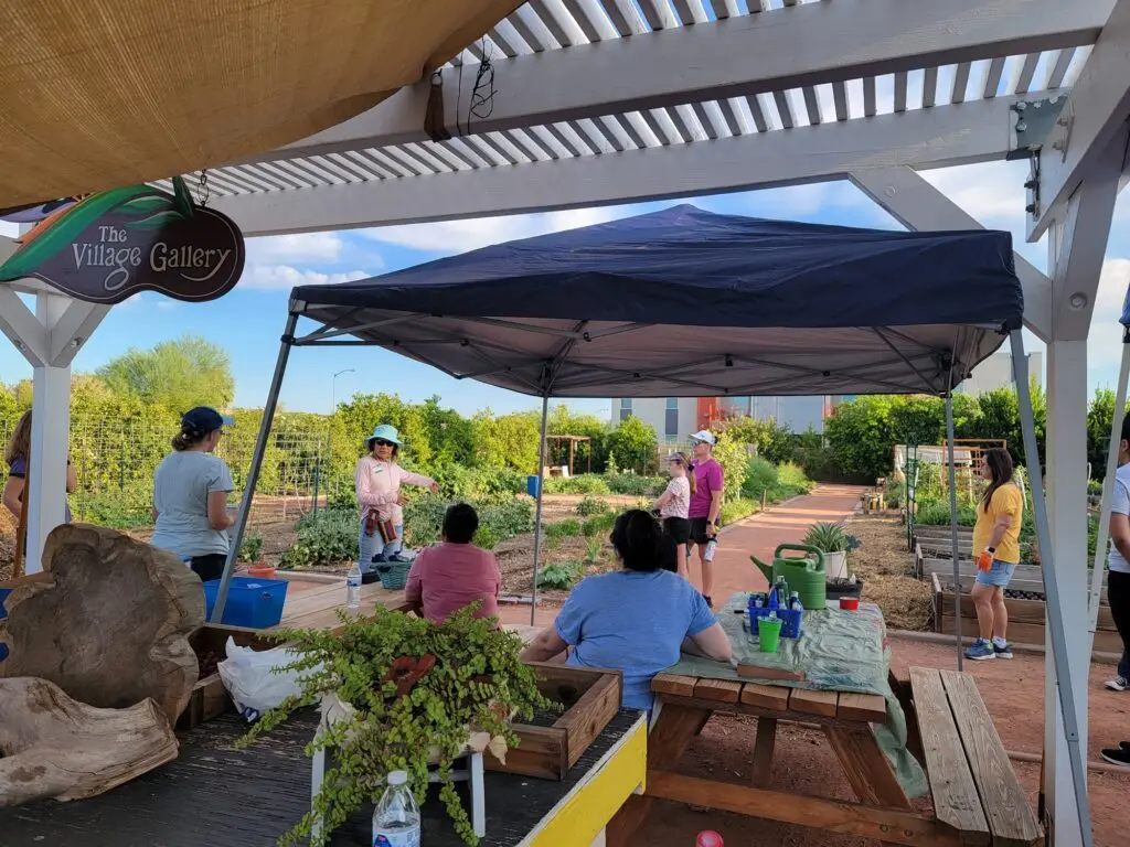  Glendale Community Garden Plants Seeds for Connection, Nutrition