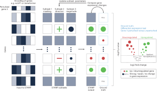 The decomposition of perturbation modeling