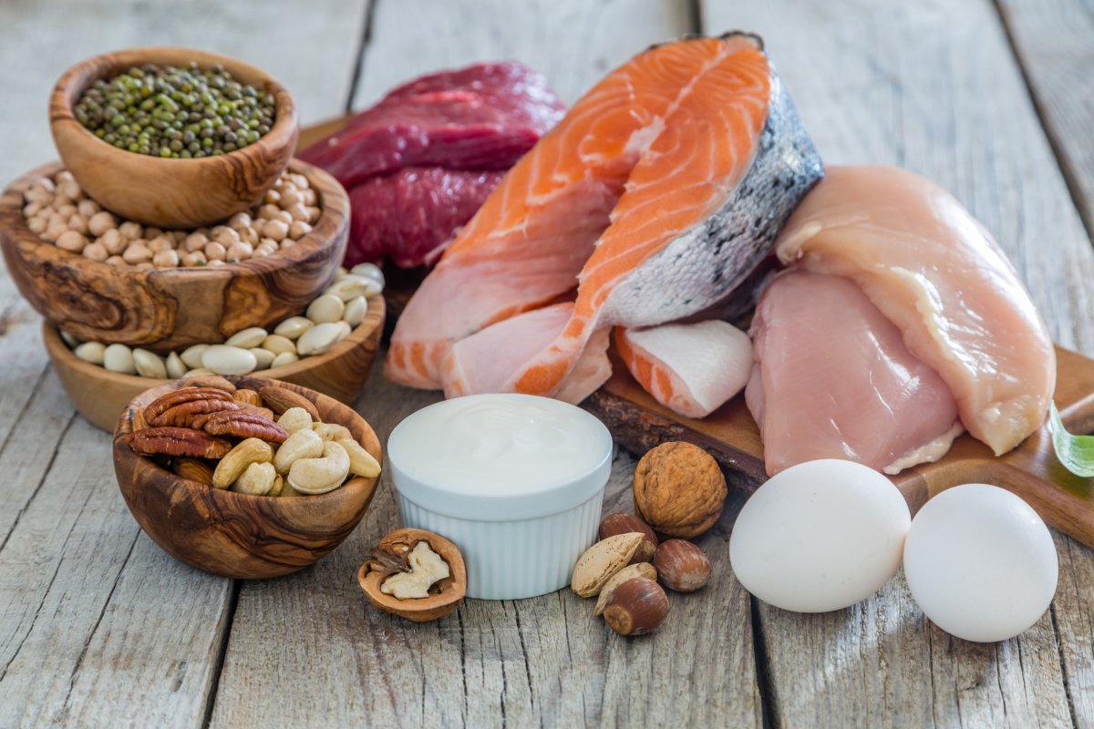 Protein: how much is too much? the experts’ view