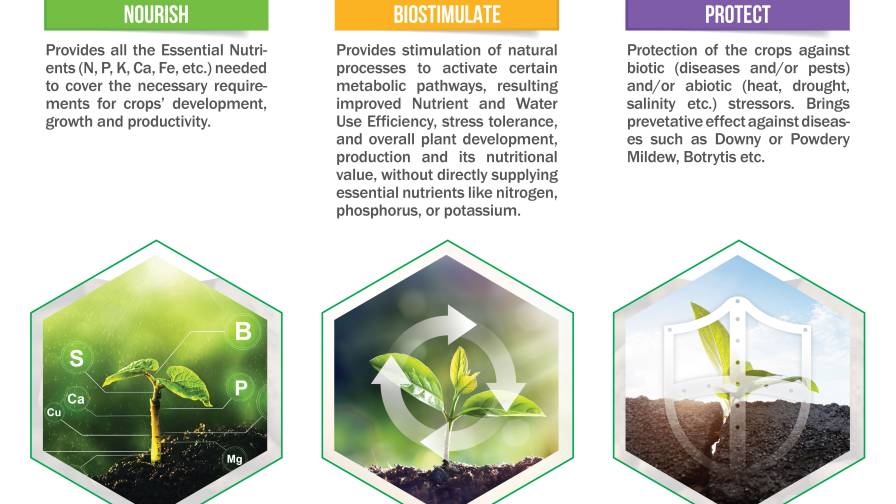 AGROLOGY Launches Functional Crop Nutrition: A Holistic Solution for Sustainable Agriculture