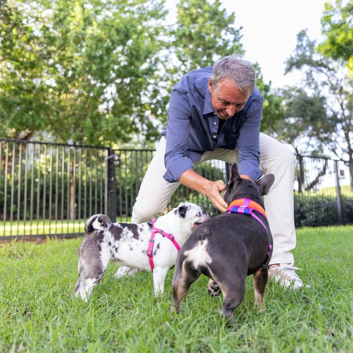 Get Joy, Dan Buettner unveil canine longevity docuseries