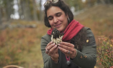 Fungi may get status boost under UK-Chile conservation plan