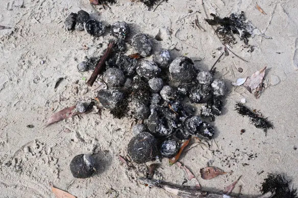 Preliminary testing revealed the dark spheres to be tar balls – a mixture of oil and debris.