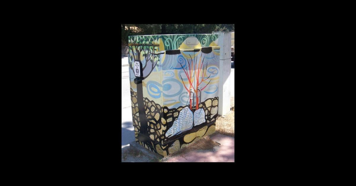 Buckeye launches traffic art box program