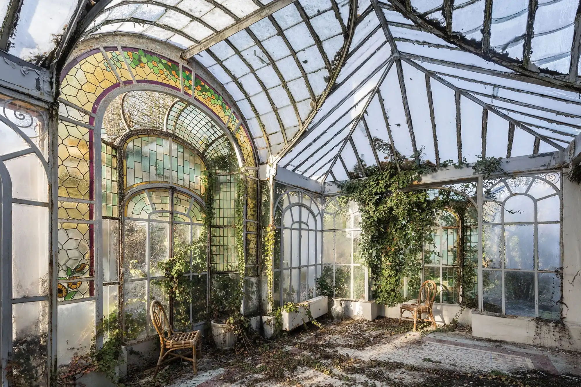 an abandoned conservatory in France with greenery growing inside and up the walls