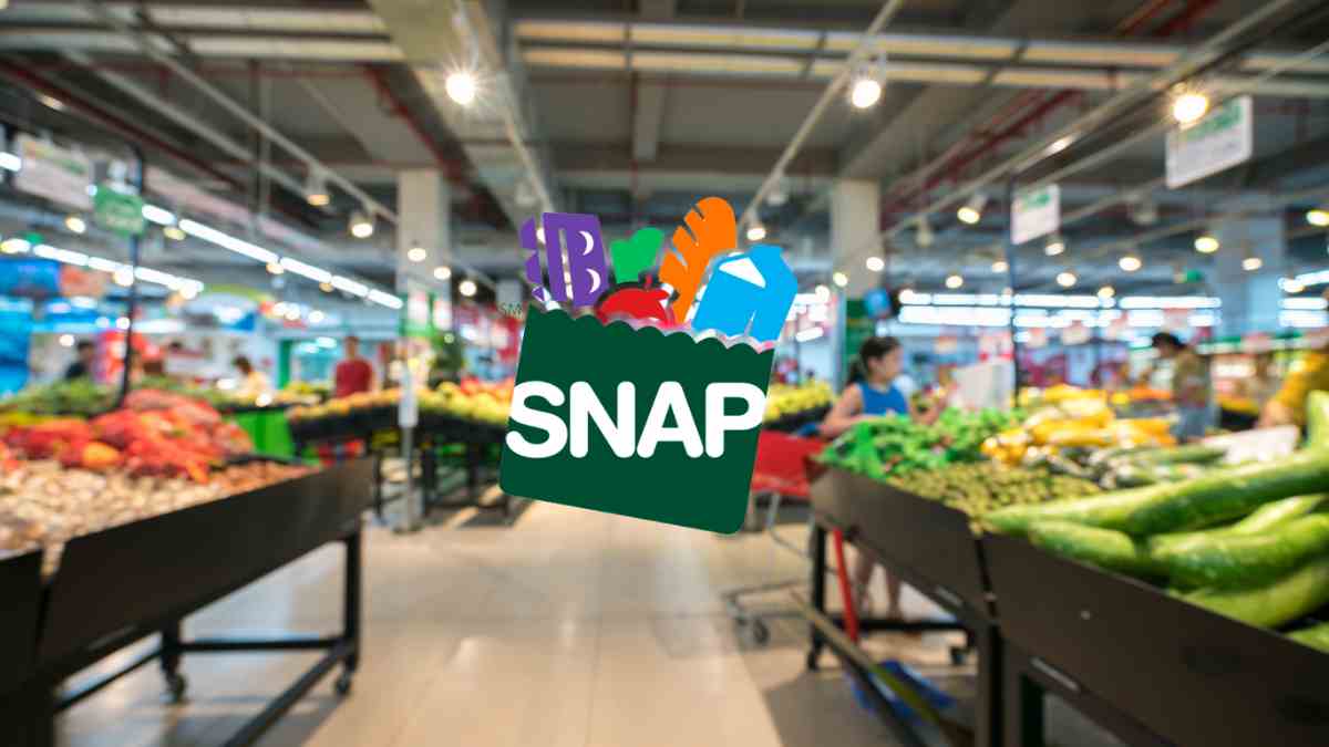 Supplemental Nutrition Assistance Program SNAP: how it helps millions of families