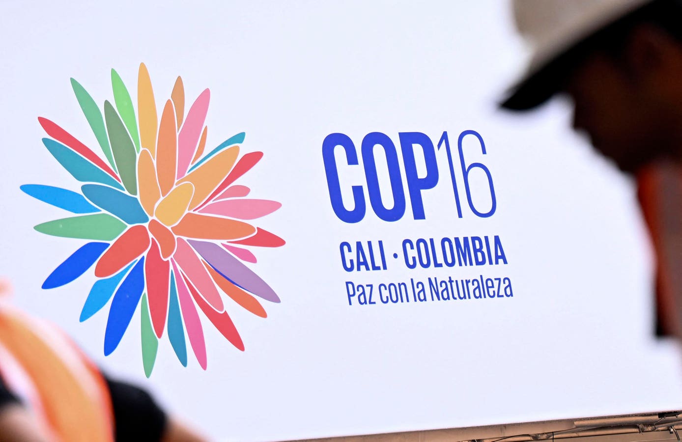 COP16 Challenge: Turning USD35bn Into USD700bn Of Yearly Finance Flows To Nature