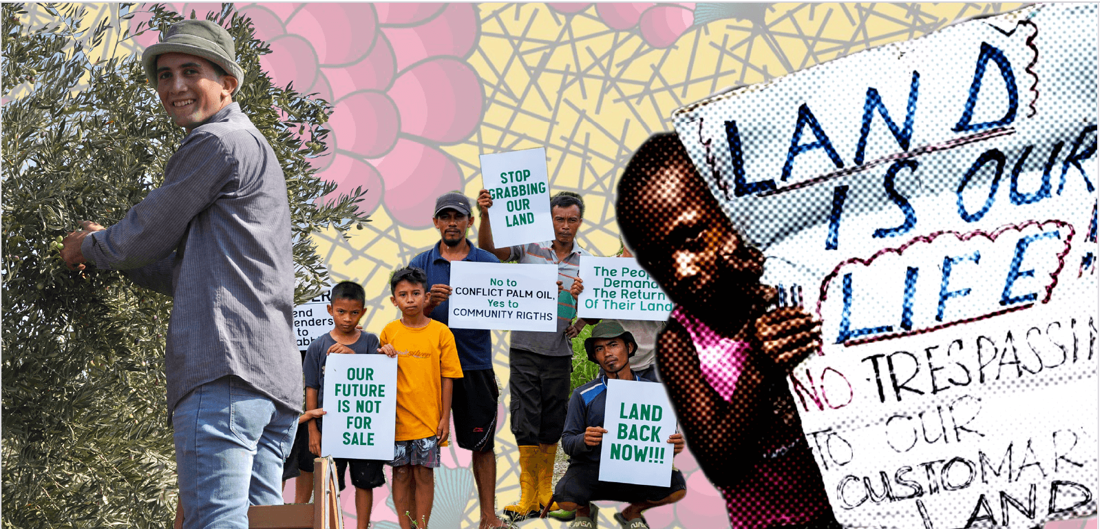 Over 100 social movements, civil society and Indigenous Peoples organisations urge political actions to realise the Right to Adequate Food and Nutrition : Via Campesina