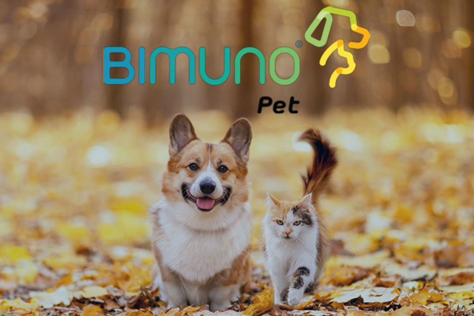 Prebiotics company enters pet nutrition market