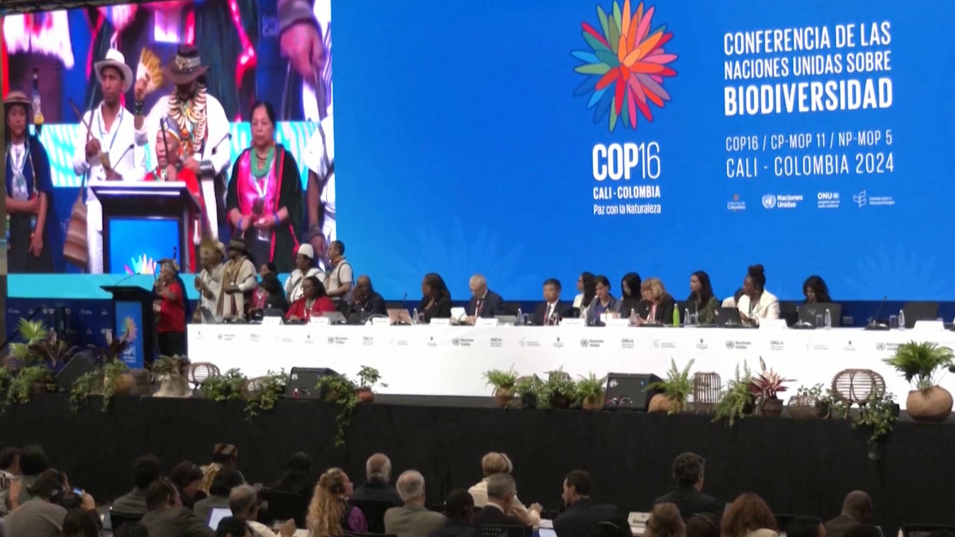 Colombia’s Environment Chief Demands Money for Conservation as U.N. Biodiversity Conference Opens