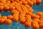 Oct. 26: Floating Pumpkin Patch at the Santa Clarita Aquatic Center