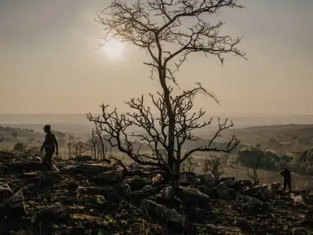 The silhouette of a man and a spectral tree on a hilltop as smoke hangs in the air