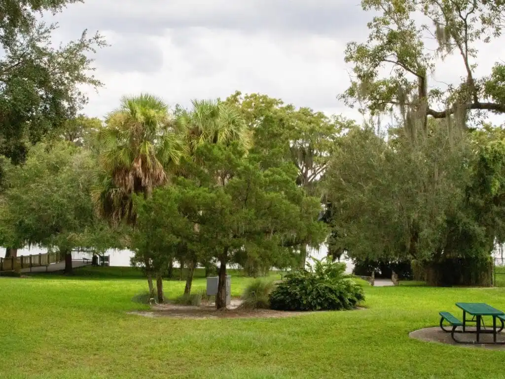 Lake Virginia near Rollins Museum of Art 