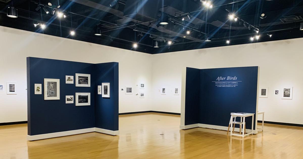 Houghton art gallery opens new exhibit