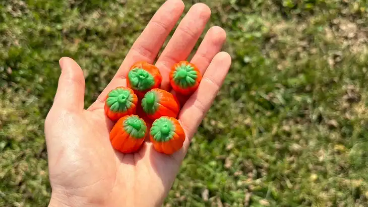 Branch’s Mellowcreme Pumpkins are the best Halloween candy.