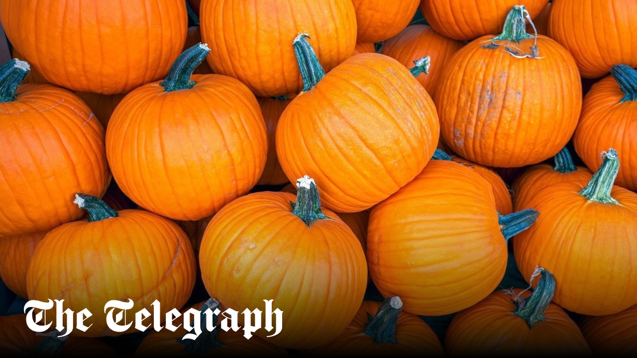 The health benefits of pumpkins and how to cook with them