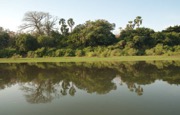 Young Volunteers strive to protect environment, natural resources conservation