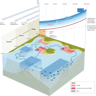 Mainstreaming connectivity science in community-based fisheries management