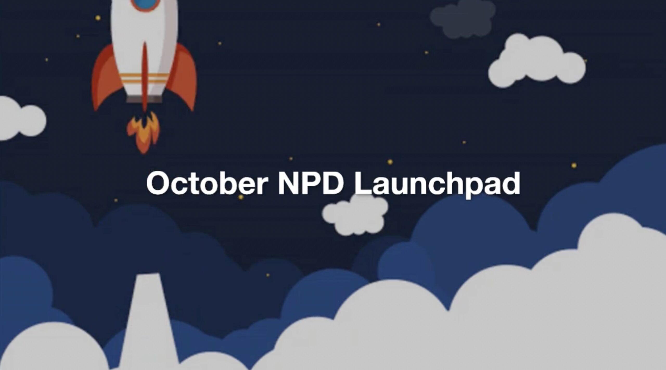 NPD launchpad October 2024