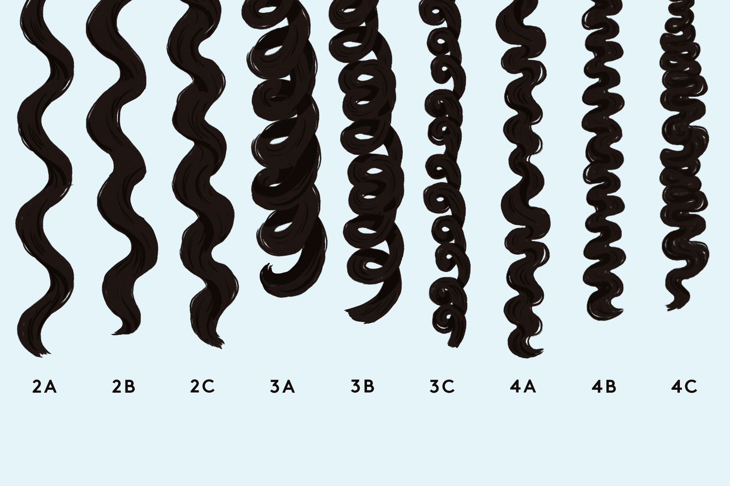 How to Figure Out Your Curl Type, Plus the Best Products to Use