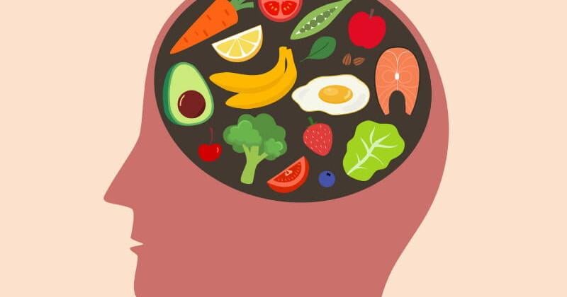 Food for thought: How diet affects the brain over a lifetime