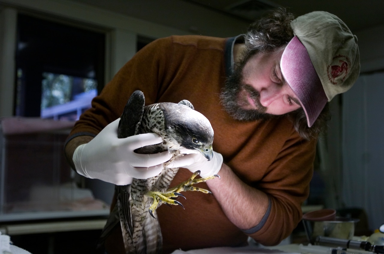 Oregon conservation leader Bob Sallinger dies suddenly at 57