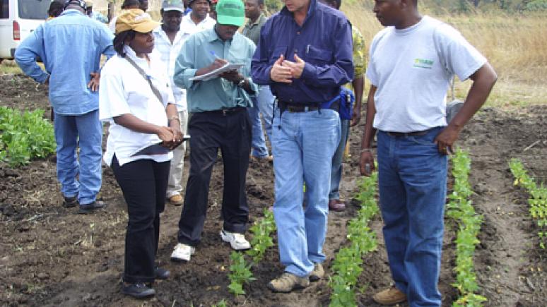 Distinguished professor in plant nutrition retires after long, impactful career