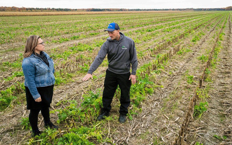 How to climate-proof crops: scientists say the secret’s in the dirt