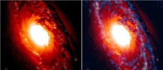 Astronomers spot unusually synchronized star formation’ in ancient galaxy for 1st time