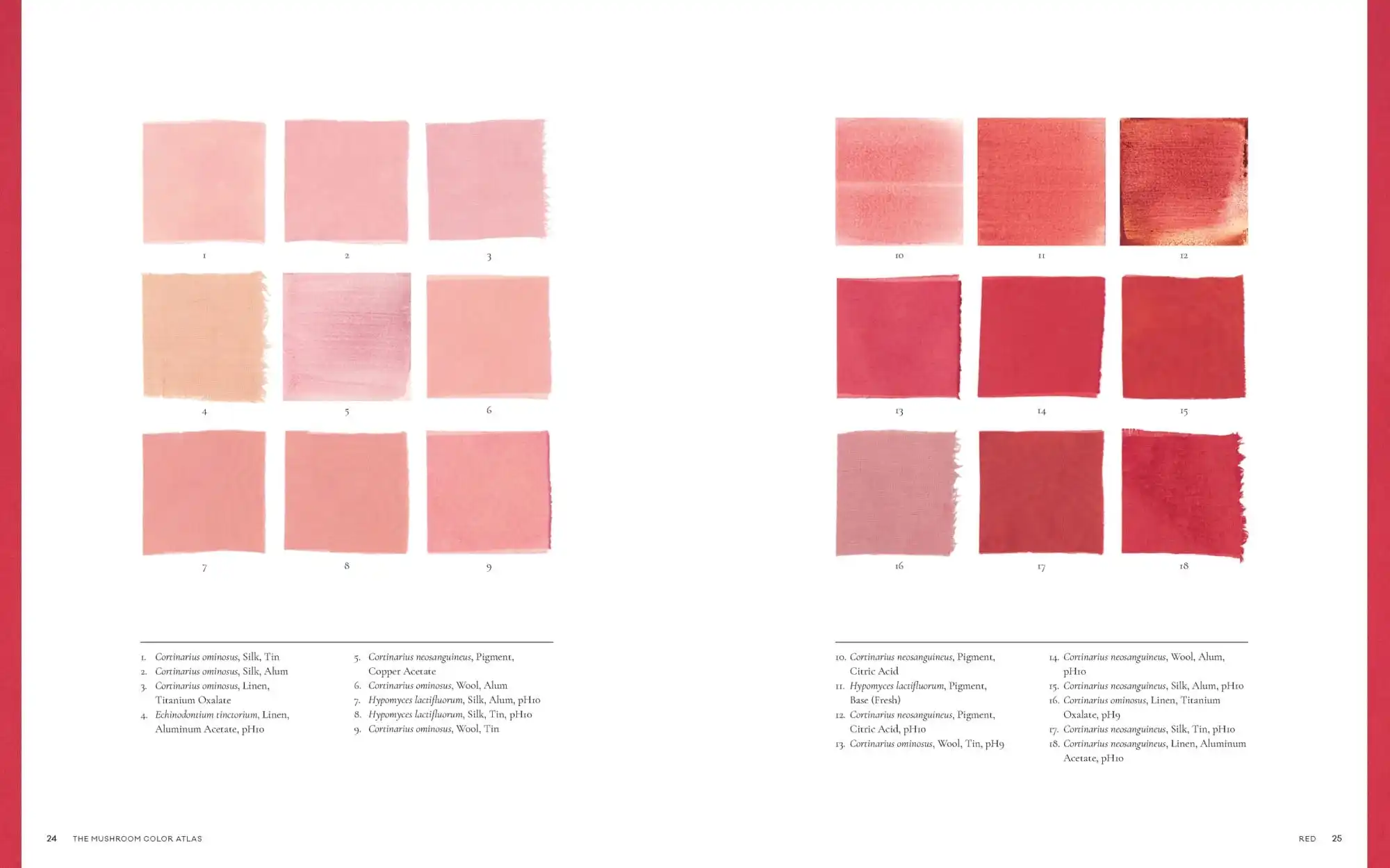 a spread from a book about mushroom pigments, showing pink and red color swatches