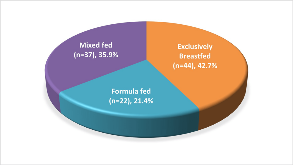 Optimization of Infant Nutrition: Exploring Feeding Practices Among Indian Mothers