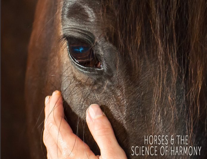 Equestrian Documentary “Horses & the Science of Harmony” Examines the Nature of Harmony Between Horse and Rider – The Plaid Horse Magazine