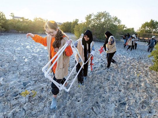 Here’s your chance to volunteer for Abu Dhabi’s environmental conservation