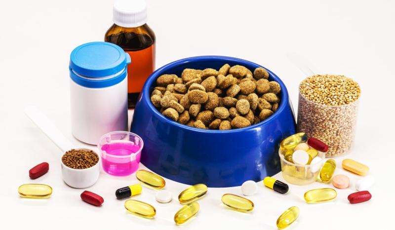 Dog Nutrition Supplements Market: Trade Analysis and Growth Predictions through 2031 | Bayer AG, PetHonesty, Honest Paws, Zenwise.