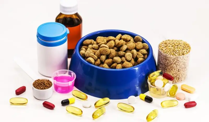 Dog Nutrition Supplements Market || 2024-2031