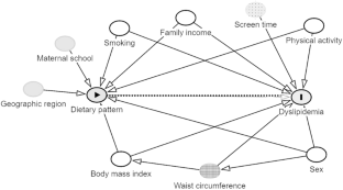 Reduced rank regression dietary patterns and dyslipidemia in Brazilian adolescents: results from the Study of Cardiovascular Risk in Adolescents (ERICA)