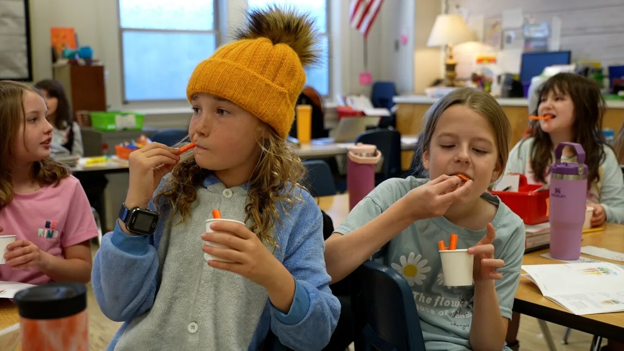 Students eating carrots