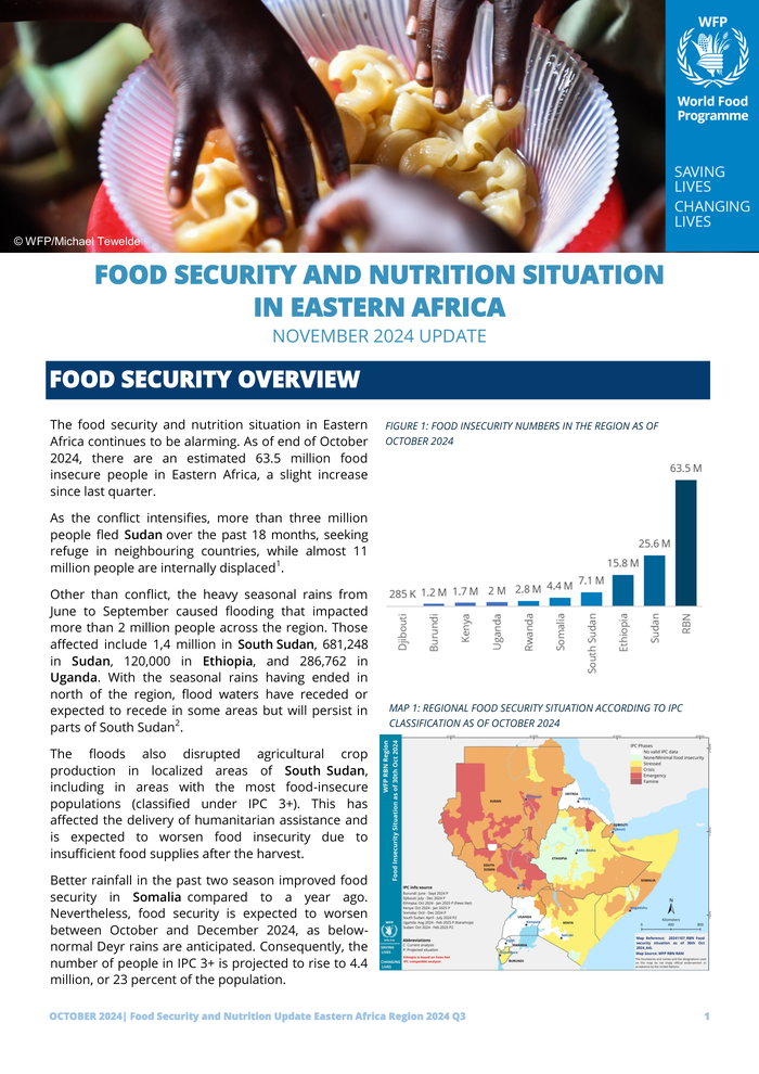 Food security and nutrition situation in Eastern Africa – November 2024 Update