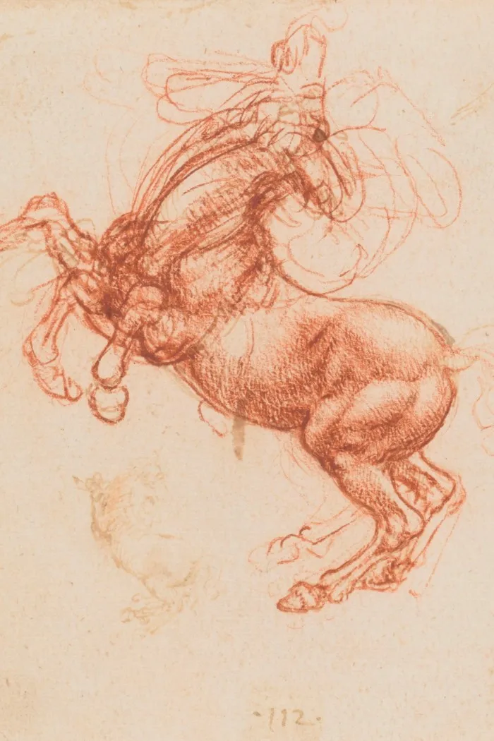 A charcoal sketch of a horse standing on its hind legs