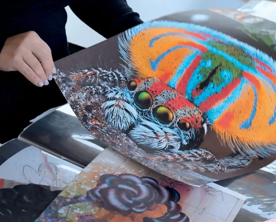 hands hold a print of a vibrant insect