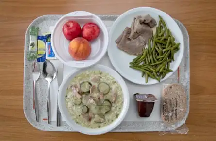 A grey plastic tray with metal cutlery, a napkin and sachets of olive oil, lemon juice and salt, a bowl of risotto, a plate of meat and green beans, some bread, a bowl of fruit and a dessert in a sealed plastic pot