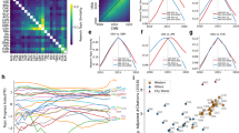 Beamtimes and knowledge production times: how big-science research infrastructures shape nations’ domestic and international science production